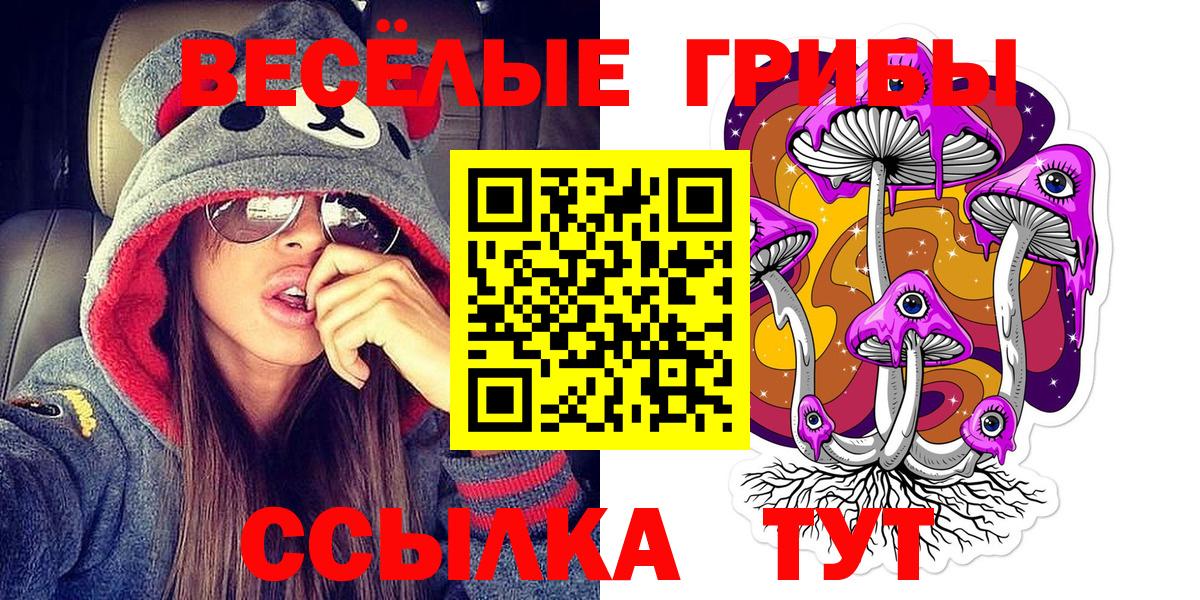 как найти наркотики  Галлюциногенные грибы мухоморы  Королёв  Вход с VPN  Галлюциногенные грибы прущие грибы 